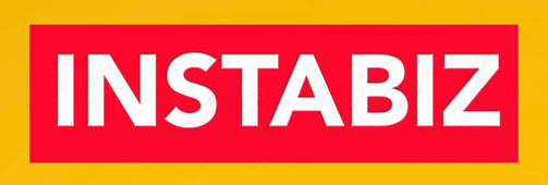 INSTABIZ LLC